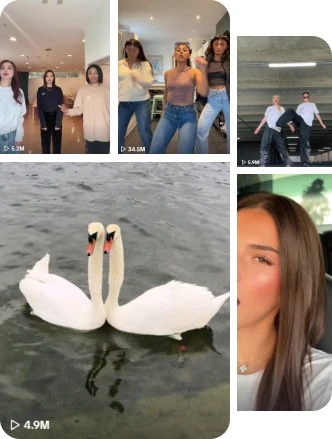 Instagram Video Views on iPhone